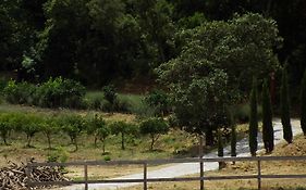 Agriturismo Cefalu Guest House